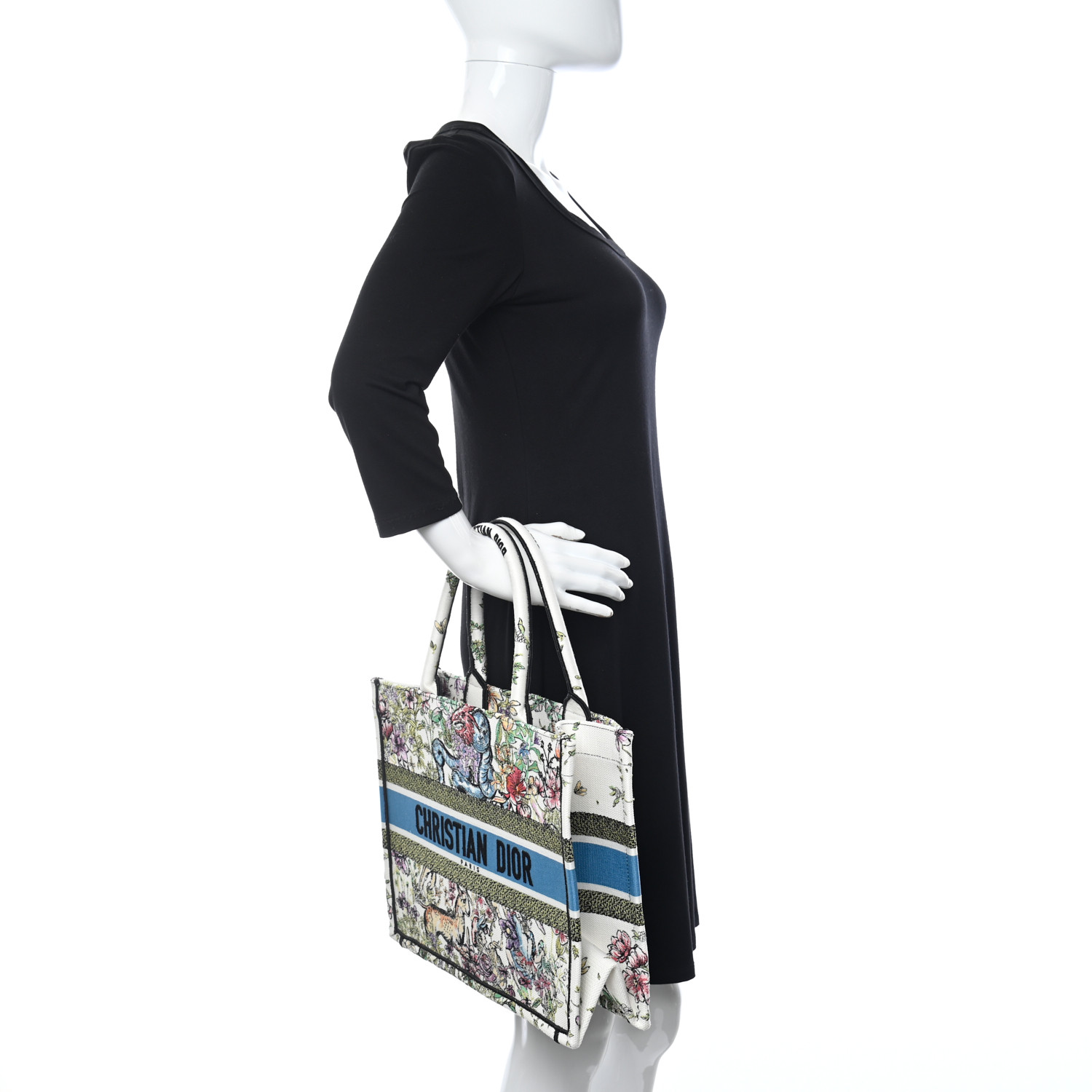 Christian Dior Canvas Embroidered Medium D-Constellation Book Tote Latte Multicolor - Image 5